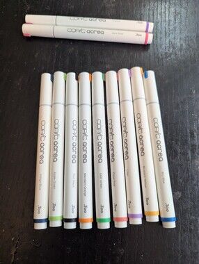 11 Copic Acrea Professional Markers